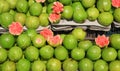 Guava fruits in the market up for sale in Andhra pradesh