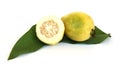 Guava on Green Leave Royalty Free Stock Photo