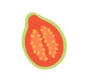 Guava half with pink pulp and skin. Cut piece of exotic fruit, top view. Icon of tropical guajava drawn in doodle style