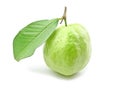 Guava with leaf Royalty Free Stock Photo