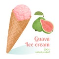 Guava pink ice cream in waffle cone Isolated on white background. Delicious tropical fruit sweets.