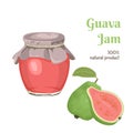 Guava pink jam in glass jar Isolated on white background. Vector illustration of tropical fruit confiture in cartoon flat style. Royalty Free Stock Photo