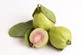 Guava (Psidium guajava L.) fruits of thailand. Royalty Free Stock Photo