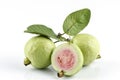 Guava (Psidium guajava Linn.) Royalty Free Stock Photo
