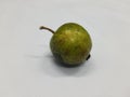 Guava (Psidium guajava) is one of the important commercial fruits in India