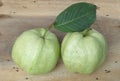 Guava (tropical fruit)