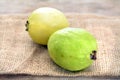 Guava Royalty Free Stock Photo
