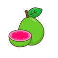 Guava vector illustration in cartoon style