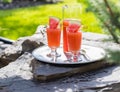 Guava and Watermelon juice on a metal tray resting on large bolder outside on a sunny day.