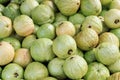 Guavas fruit