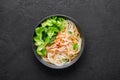 Guay Tiew Gai Cheek or Thai Chicken Noodle Soup in black bowl on dark slate backdrop. Thai food Royalty Free Stock Photo
