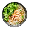 Guay Tiew Gai Cheek or Thai Chicken Noodle Soup in black bowl isolated on white backdrop. Thai food