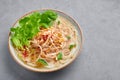Guay Tiew Gai Cheek or Thai Chicken Noodle Soup in white bowl on gray concrete backdrop. Thai food Royalty Free Stock Photo