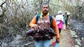 Man crab catcher with pack of red mangrove crabs. Ecuador