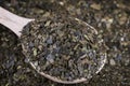 Guayusa Dry Tea Leaves in Spoon