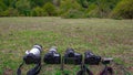 Set of digital cameras for shooting nature