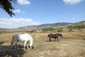 Gudar mountains,Teruel,Spain