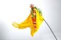 Gudi Padwa Marathi New Year