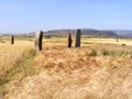 Gudit Stelae Field in Ethiopia