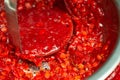 Guelder berries jam making Royalty Free Stock Photo