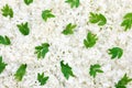 Guelder rose blossoms and myrtle leaves