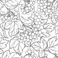 Guelder rose vector pattern