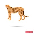 Guepard color flat icon for web and mobile design