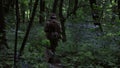 Guerilla warriors squad running in one formation carrying their guns in the forest bushes.