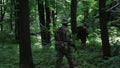 Guerilla warriors squad walking in line formation carrying their guns in the forest bushes.