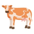 Guernsey cow icon cartoon vector. Farm breed