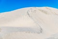 Sand dunes along the western coast of the Baja peninsula