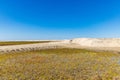 Sand dunes along the western coast of the Baja peninsula