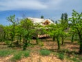 Guest house with white roof. Wooden cottage in lush greenery in the desert Royalty Free Stock Photo