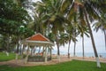 Guest houses among palm trees, Vietnam