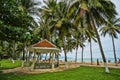 Guest houses among palm trees, Vietnam