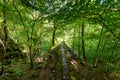 Guetersteiner Waterfall of Bad Urach, Swabian Alb, Baden-Wuerttemberg, Germany, Europe