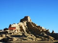 The Guge Dynasty of zhada soil forest, Tibet, China