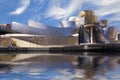 Guggenheim Bilbao museum reflection