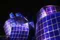 Guggenheim Museum Bilbao. Night lights show. Royalty Free Stock Photo