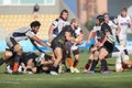 Zebre Rugby vs Edinburgh Royalty Free Stock Photo