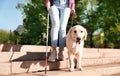 Guide dog helping blind person with long cane going down stairs Royalty Free Stock Photo