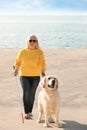 Guide dog helping blind person with long cane going up stairs Royalty Free Stock Photo