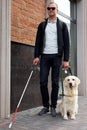 Guide dog helping blind person with long cane walking in city Royalty Free Stock Photo