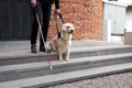 Guide dog helps the owner to move freely in big city Royalty Free Stock Photo