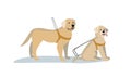 Guide dog isolated. Flat vector stock illustration. Royalty Free Stock Photo