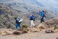 Guide leading tourists on Mount Kilimanjaro