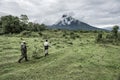 Guide in old growth forest in Nord Kivu Royalty Free Stock Photo