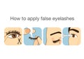 Guide step to applying false eyelash Royalty Free Stock Photo