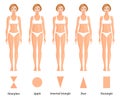 Forms of female body type. Various figures of women. Vector
