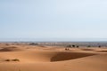 Guide walking tourists astride camels from a desert camp, Merzouga, Morocco